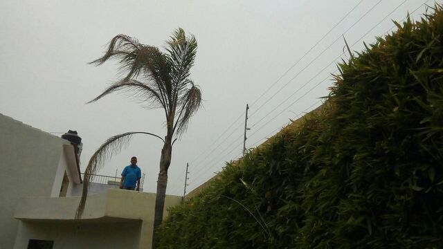 INSTALACION DE POSTES PARA CERCA ELECTRIFICADA